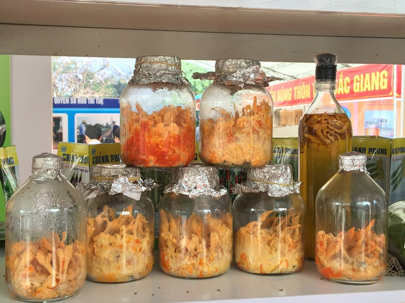 Đông trùng hạ thảo và rượu đông trùng hạ thảo được giới thiệu tại hội chợ