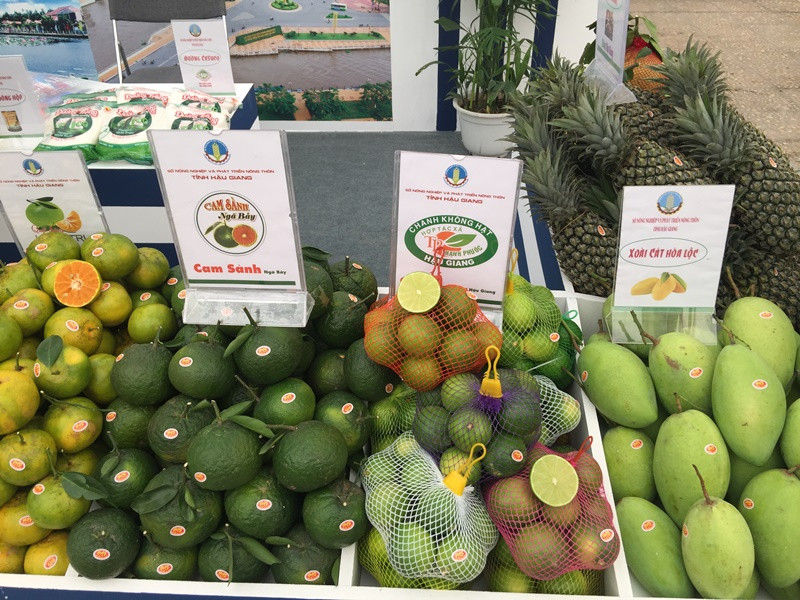 Nhiều loại quả đặc sản miền Tây Nam Bộ cũng có mặt tại hội chợ