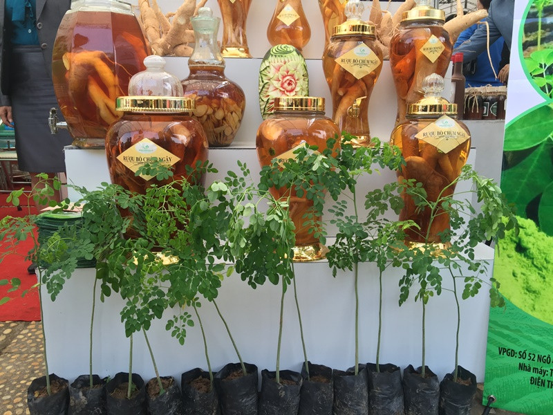 Hội chợ lần này còn có các sản phẩm được chế biến từ cây chùm ngây