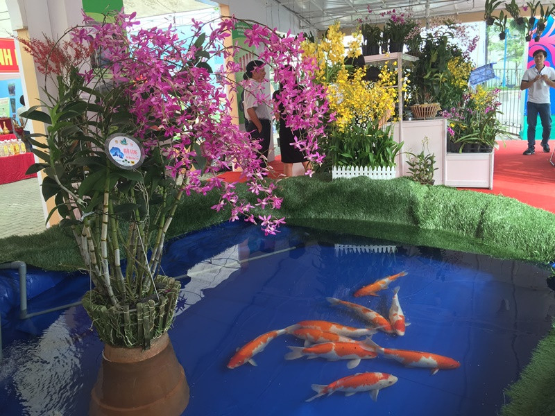 Nhiều loại hoa lan, cây cảnh cũng được bày bán