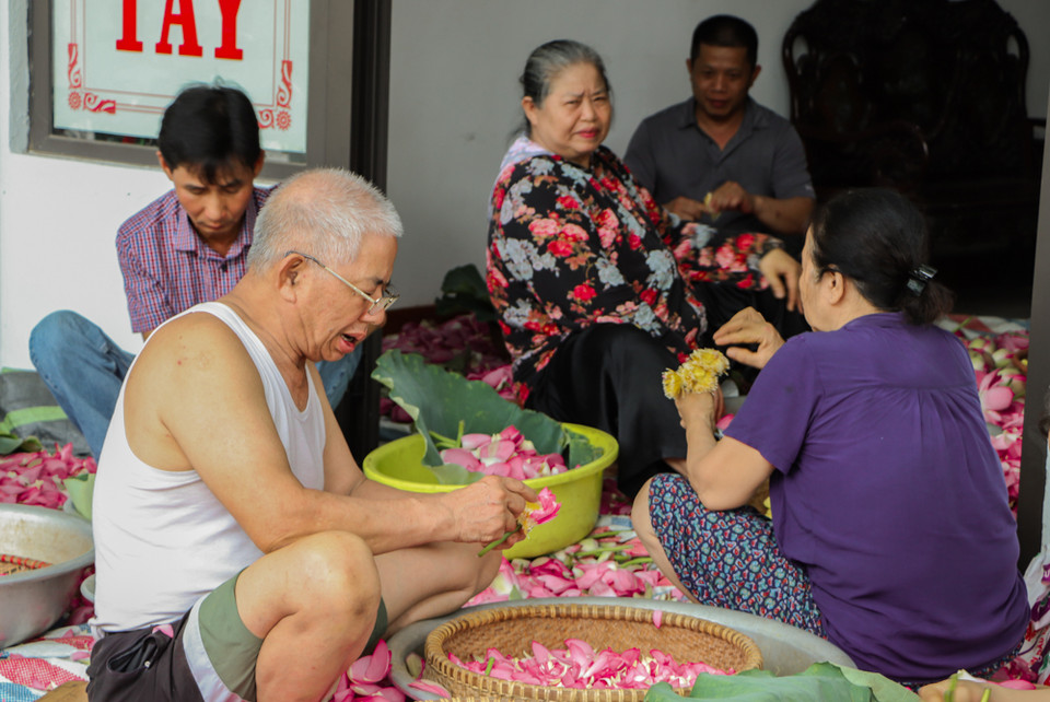 Nghệ nhân ướp trà sen truyền thống Ngô Văn Xiêm ở Quảng An chia sẻ: “Thực ra không phải mỗi sen vùng Tây Hồ ướp được trà, nhưng hoa vùng khác làm chất lượng rất kém không đảm bảo mùi hương. Do thổ nhưỡng của vùng này khá đặc biệt nên sen có mùi thơm ngọt ngào không nơi nào có được.” (Ảnh: Hương Trà/Vietnam+)