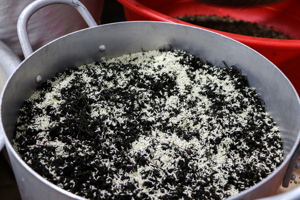 Để có được những túi trà sen thơm ngát phải trải qua nhiều công đoạn cầu kì, công phu, mất rất nhiều thời gian, công sức. Với hương vị tinh tế, đậm đà, trà sen Tây Hồ trở thành món quà quen thuộc, thanh nhã nổi tiếng trên đất Hà Thành. Giá trà sen khoảng 7 triệu đồng/kg, còn những bông sen "ướp xổi" có giá 35.000-80.000 đồng/bông. (Ảnh: Hương Trà/Vietnam+)