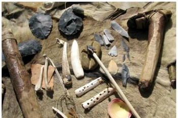 Bỉ: Phát hiện công cụ làm từ xương sư tử niên đại 130.000 năm trước Công nguyên