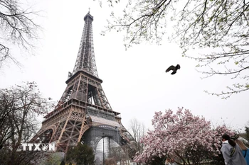Tháp Eiffel tại thủ đô Paris, Pháp. Ảnh: THX/TTXVN