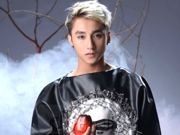 Nghi án đạo nhạc của Sơn Tùng M-TP lại chờ thẩm định lần hai ảnh 1