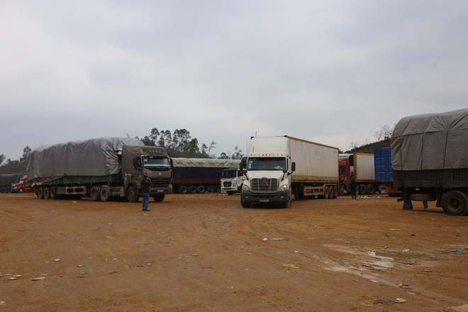 Hàng nghìn xe nông sản tại cửa khẩu Tân Thanh quay đầu chờ 'giải cứu' ảnh 1