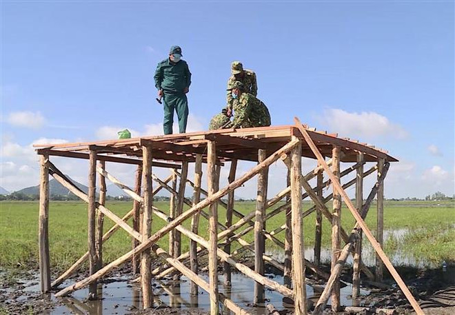 Việt Nam không có ca mắc COVID-19 mới, 805 ca đã được điều trị khỏi ảnh 1