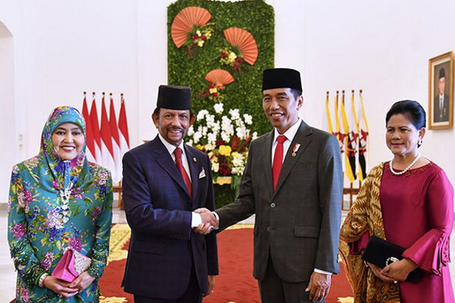 Indonesia và Brunei thúc đẩy hợp tác trên nhiều lĩnh vực ảnh 1