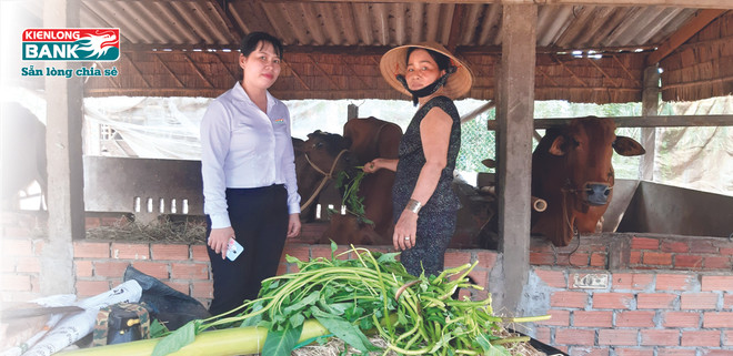 Kienlongbank giảm 50% lãi suất cho vay tại Đà Nẵng, Quảng Nam, Đăk Lăk ảnh 1