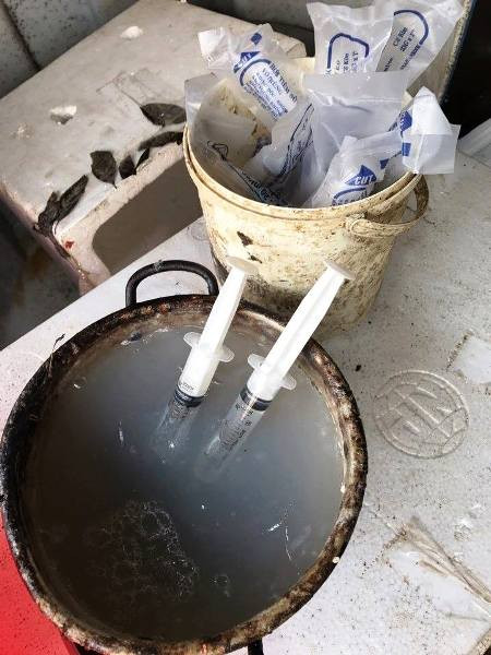 Bắt quả tang một cơ sở kinh doanh bơm tạp chất vào tôm tại Hà Nội ảnh 3