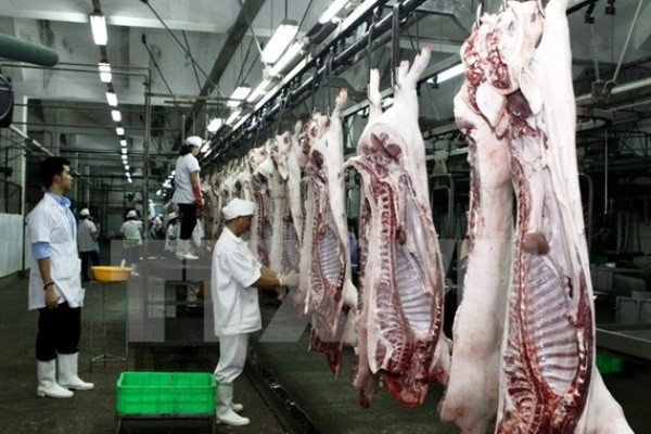 Điều chỉnh kế hoạch chăn nuôi: Gắn với thị trường để tránh "vết xe đổ" ảnh 2