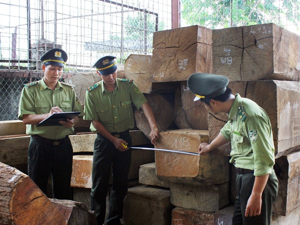 Đề nghị xử lý người vi phạm và đứng đầu Kiểm lâm cơ động số 1 ảnh 1