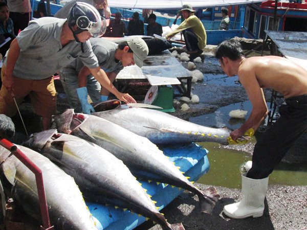 Tổng sản lượng thủy sản tám tháng đầu năm đạt hơn 4 triệu tấn ảnh 1