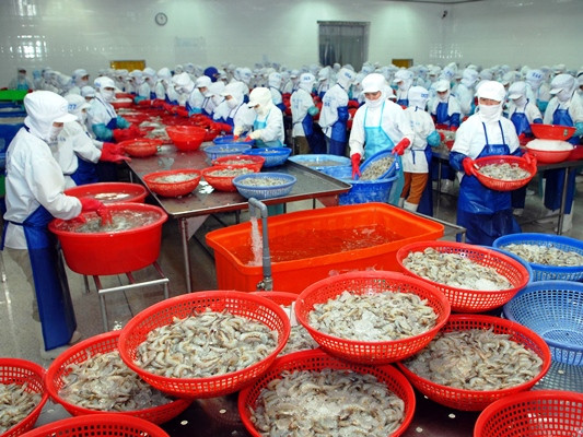 Kim ngạch xuất khẩu nông, lâm, thủy sản đạt hơn 20 tỷ USD ảnh 1