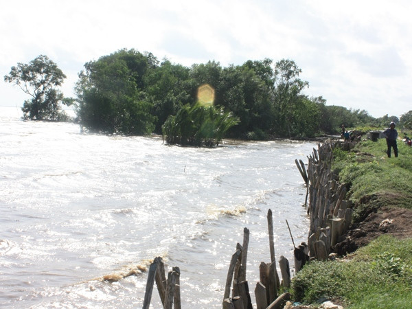 Tăng cường công tác xử lý sạt lở, đảm bảo an toàn đê biển ảnh 1