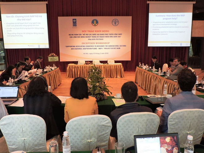 Khởi động dự án toàn cầu về nông nghiệp thích ứng biến đổi khí hậu ảnh 1