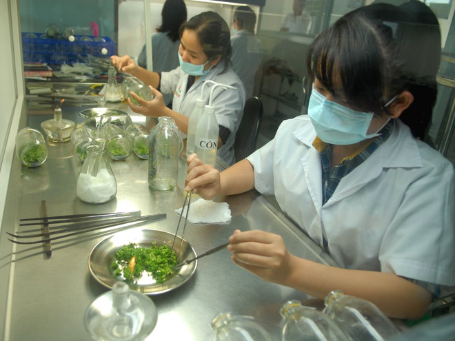 Indonesia công nhận hệ thống kiểm soát an toàn thực phẩm của Việt Nam ảnh 1