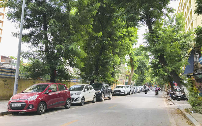 Nên chọn những nơi có bóng cây râm mát để đỗ xe. (Ảnh: Minh Hiếu/Vietnam+) “Bỏ túi” 6 lưu ý khi sử dụng xe ôtô trong đợt nắng nóng kỷ lục ảnh 5