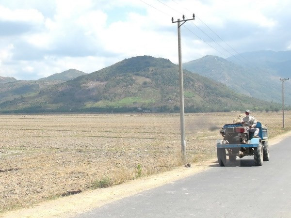 Ảnh minh họa. (Nguồn: TTXVN) WB tài trợ 90 triệu USD cho biến đổi khí hậu và tăng trưởng xanh ảnh 1