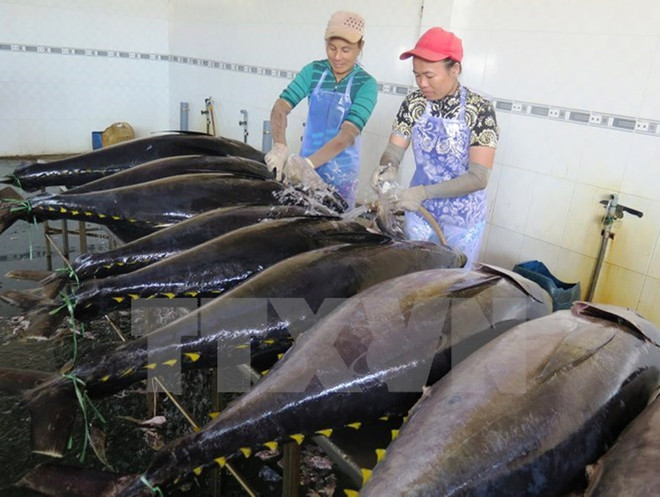 Kim ngạch xuất khẩu nông lâm thủy sản đạt 7,6 tỷ USD trong quý 1 ảnh 1