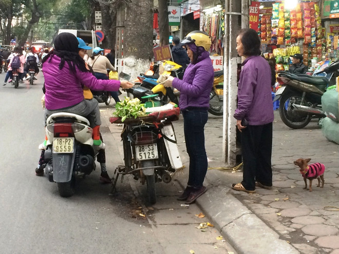 Hoa bưởi ngập tràn trên phố thu hút người dân Thủ đô ảnh 5