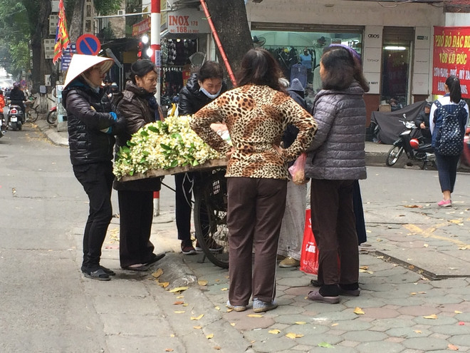 Hoa bưởi ngập tràn trên phố thu hút người dân Thủ đô ảnh 4