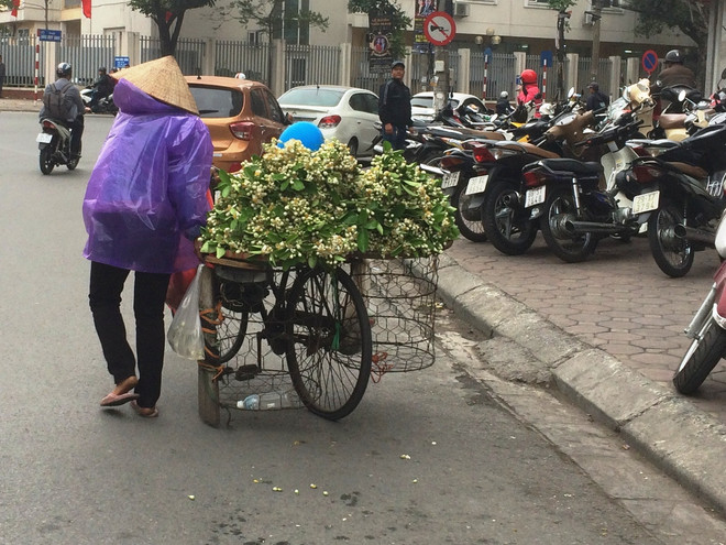 Hoa bưởi ngập tràn trên phố thu hút người dân Thủ đô ảnh 10