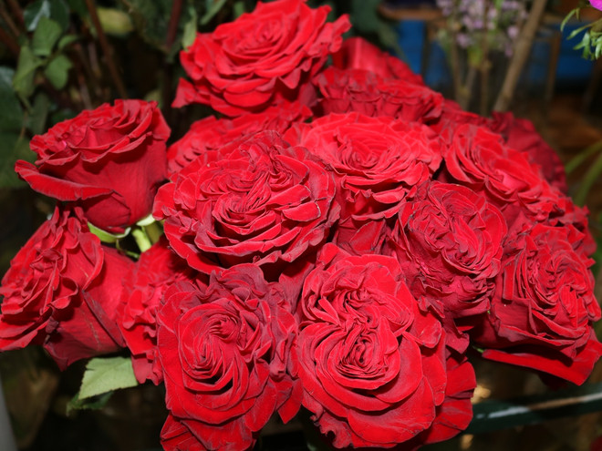 Hoa hồng đen độc đáo, ấn tượng “chuộng khách” dịp 8/3 ảnh 6