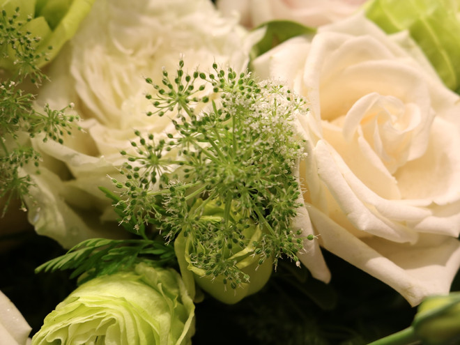 Hoa hồng đen độc đáo, ấn tượng “chuộng khách” dịp 8/3 ảnh 11