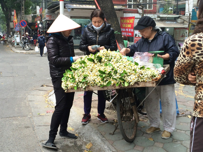 Hoa bưởi ngập tràn trên phố thu hút người dân Thủ đô ảnh 2