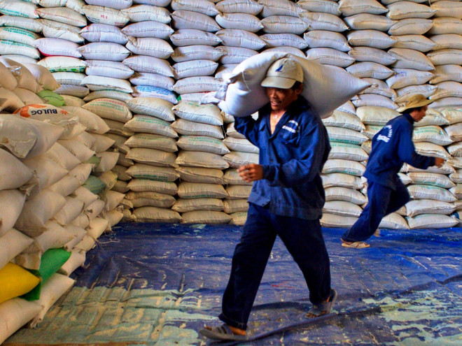 Phát triển lúa gạo bền vững: Chú trọng đổi mới 3 "trụ cột" ảnh 1