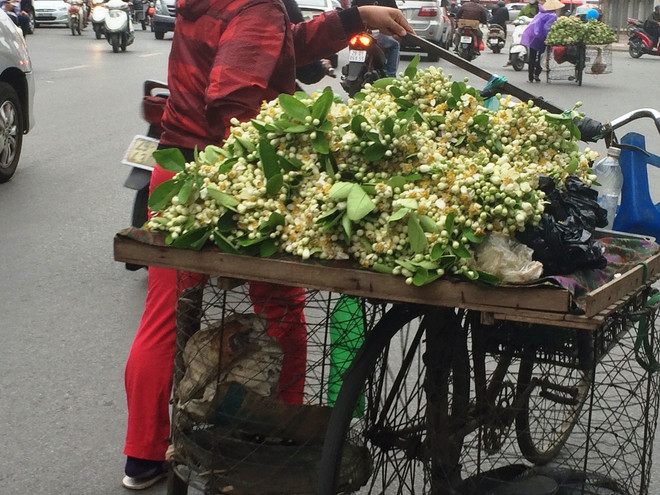 Hoa bưởi ngập tràn trên phố thu hút người dân Thủ đô ảnh 12