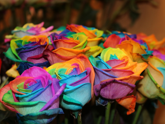 Hoa hồng đen độc đáo, ấn tượng “chuộng khách” dịp 8/3 ảnh 9