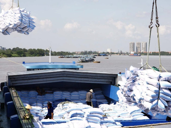 Bốc xếp gạo xuất khẩu tại cảng Tân Thuận 2 (cảng Sài Gòn).(Ảnh: Đình Huệ/TTXVN) Kim ngạch xuất khẩu nông, lâm, thủy sản 10 tháng đạt trên 25 tỷ USD ảnh 1