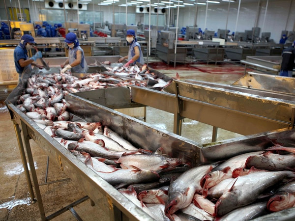 Việt Nam, Nga ký biên bản về ưu tiên phát triển nuôi trồng thủy sản ảnh 1