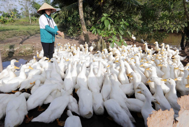 Ngân hàng Chính sách xã hội 17 năm đồng hành cùng người nghèo ảnh 2