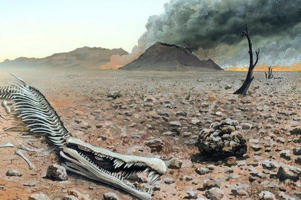 Lời cảnh báo về một thảm họa tuyệt chủng trên Trái Đất ảnh 1