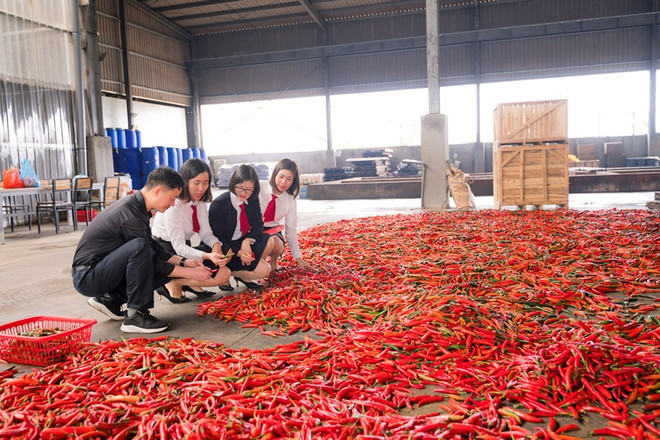 Agribank và những nỗ lực góp phần phát triển kinh tế tập thể ảnh 1