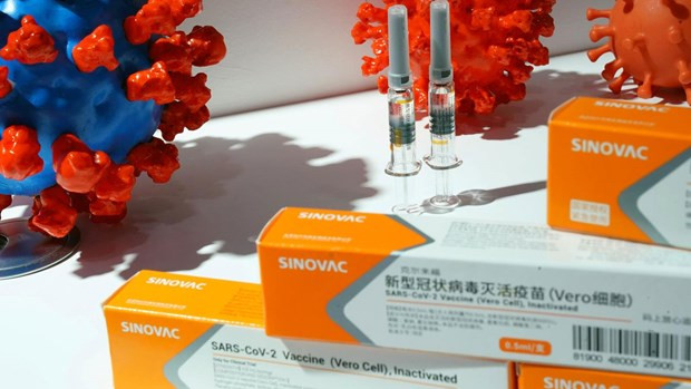 Ảnh minh họa. (Nguồn: CGTN) Indonesia phê duyệt vắcxin Sinovac của Trung Quốc cho người cao tuổi ảnh 1