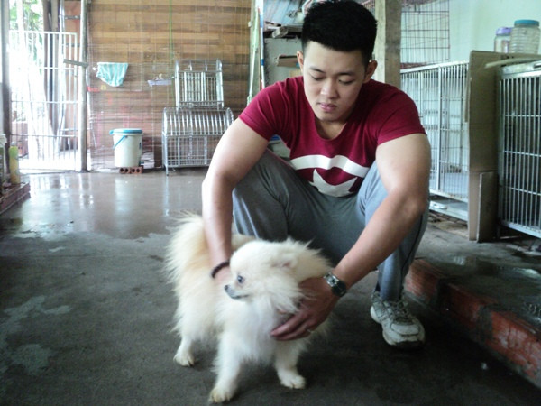 Hà Nội: Dịch vụ trông giữ chó, mèo “đắt khách” dịp nghỉ lễ ảnh 1