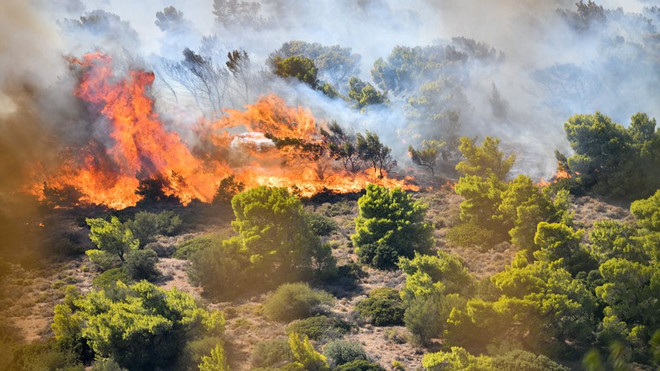 Hy Lạp: Cháy rừng lớn ở chân núi Imitos, ngoại ô thủ đô Athens ảnh 1