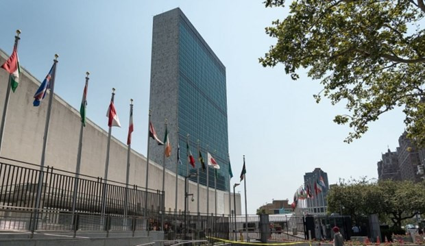 Việt Nam và HĐBA LHQ: Ukraine đánh giá cao sáng kiến của Việt Nam ảnh 1