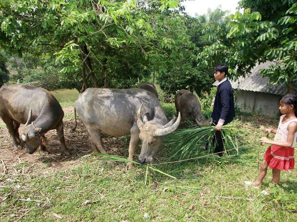 Ảnh minh họa. (Nguồn: TTXVN) Khách hàng bị rủi ro do khách quan được bổ sung vay vốn ảnh 1