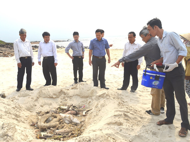 Loại bỏ nguyên nhân cá chết hàng loạt do tràn dầu và động đất ảnh 1