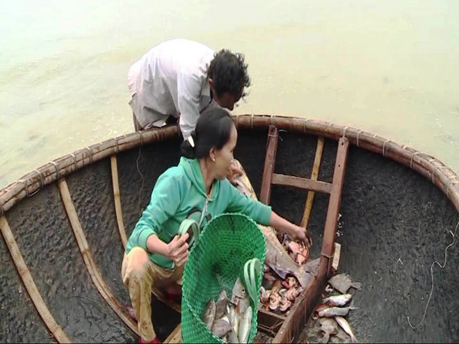 Người dân ven biển thấp thỏm chờ kết luận "biển đã an toàn chưa?" ảnh 2