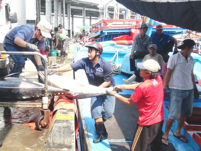 Nuôi trồng thủy sản gặp khó, người nuôi cá tra quy mô nhỏ chưa có lãi ảnh 2