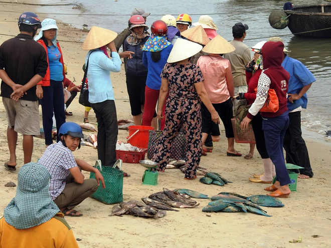 Khuyến cáo người dân không ăn cá chết hàng loạt để tránh bị ngộ độc ảnh 1