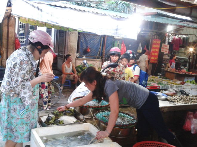 Cá chết trắng biển miền Trung, thị trường hải sản Hà Nội vẫn nhộn nhịp ảnh 1