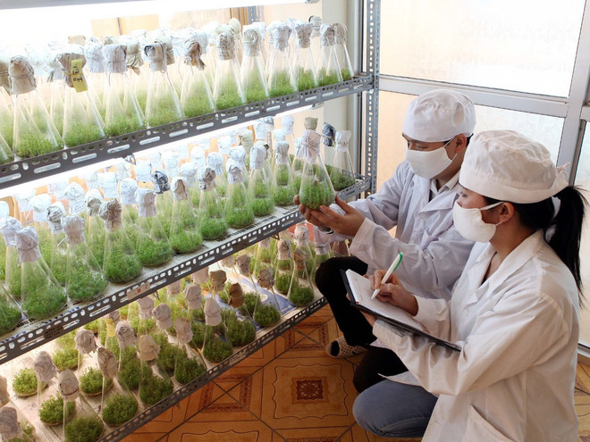 Cuộc thi về sáng kiến công nghệ mới nhằm tăng cường an ninh lương thực ảnh 1