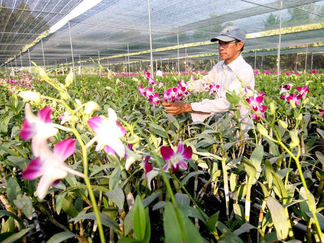 Phát động cuộc thi viết về đề tài “Nông dân và Hợp tác” lần thứ nhất ảnh 1